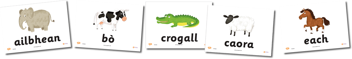 Animal Flashcards in Gaelic