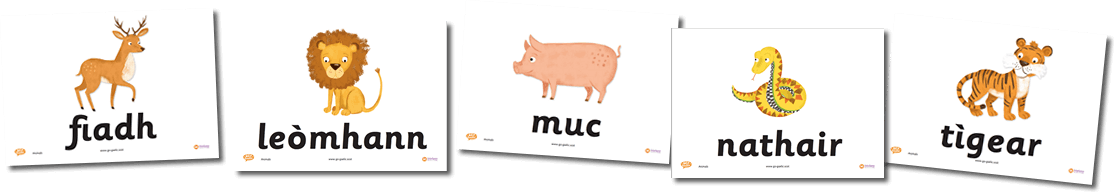 Animal Flashcards in Gaelic