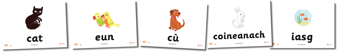 Pets Flashcards